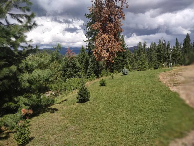 $679,000 | 5105 Rose Hill Road, Springdale, WA 99173