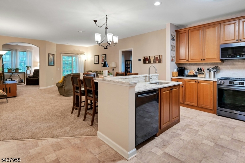 17 Ridgeview Lane Mount Arlington, NJ 07856 - Photo 3 of 27