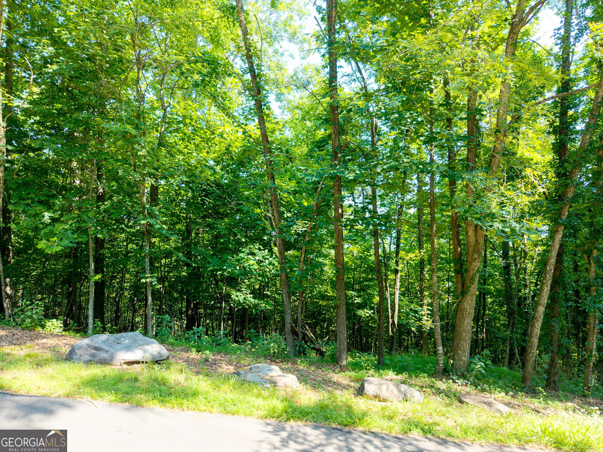 46 Buck Ridge Drive Murphy, NC 28906 - Photo 1 of 17