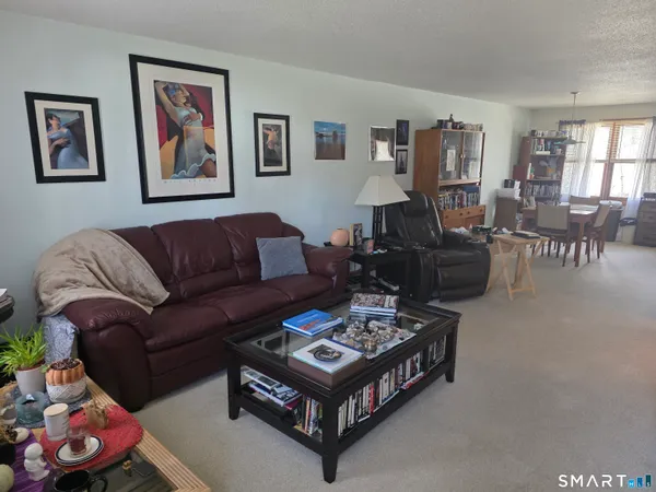 a living room with furniture a rug and a window