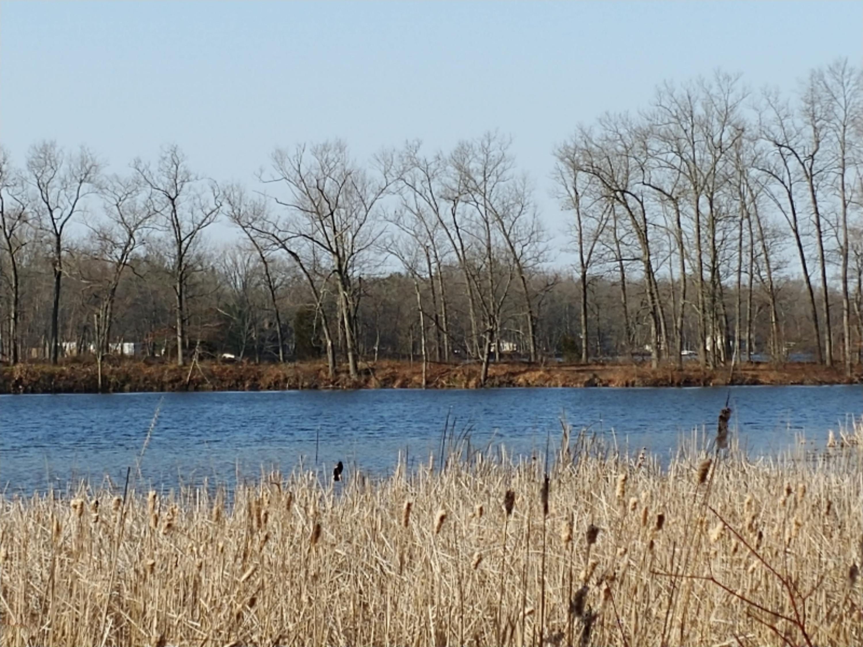 11275 North River Road Constantine, MI 49042 - Photo 7 of 19 0412180939a