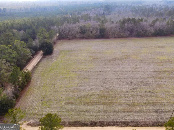 a view of a field with trees in background