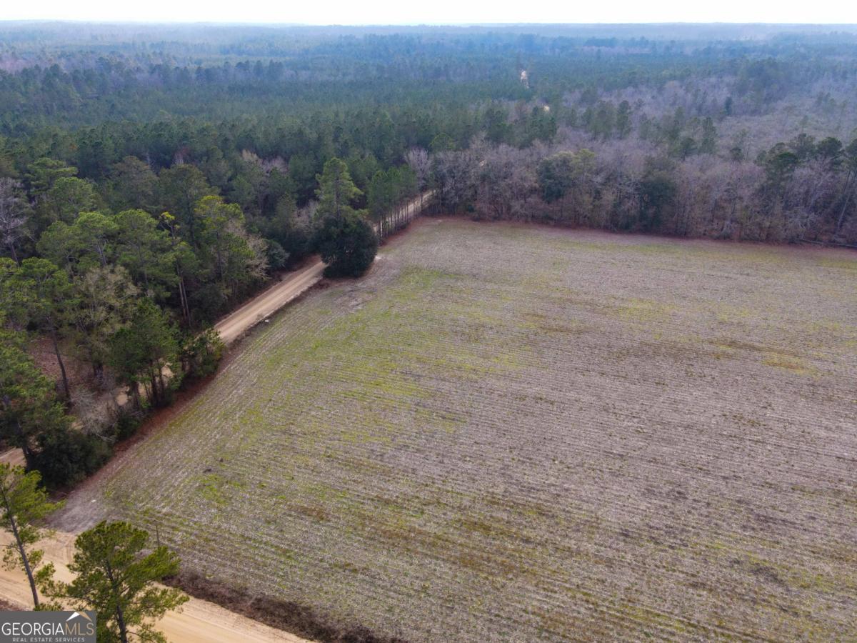 0 Floyd Road, Unit LOT 7 Pembroke, GA 31321 - Photo 3 of 5 a view of a field with trees in background