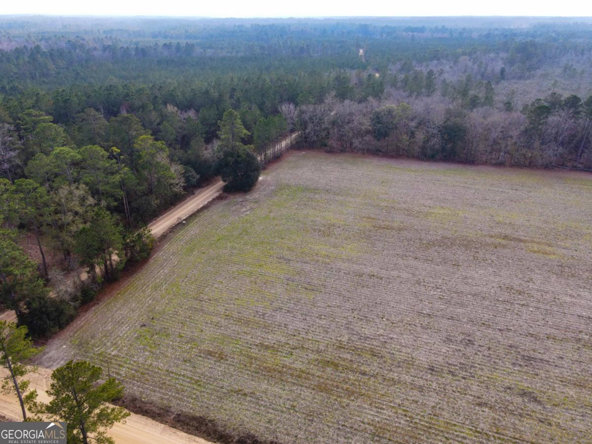 0 Floyd Road, Unit LOT 7 Pembroke, GA 31321 - Photo 4 of 5 a view of a field with trees in background