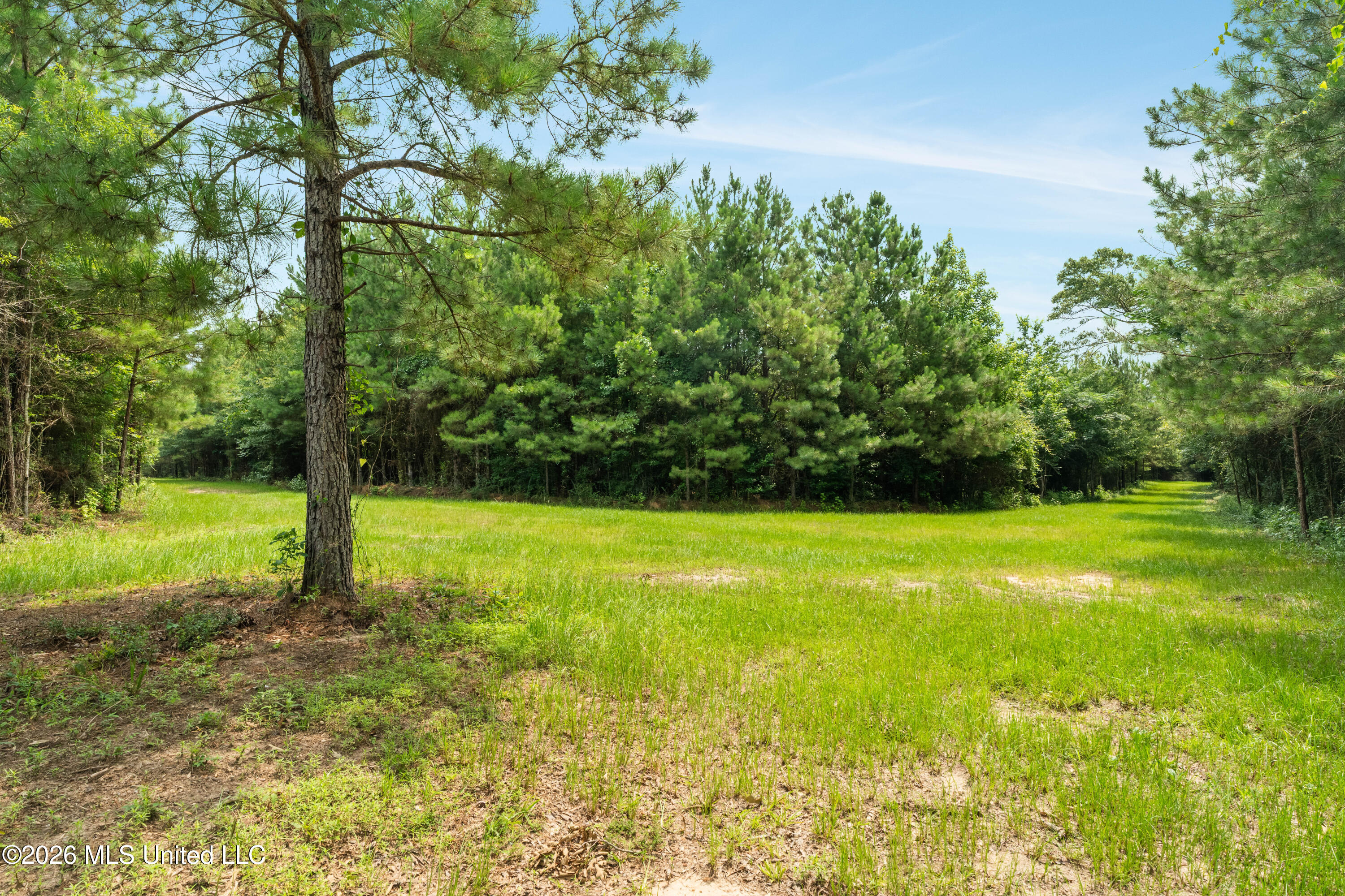 232 Knoxo Columbia Road Tylertown, MS 39667 - Photo 76 of 120 232_Knoxo_Columbia_Rd-76