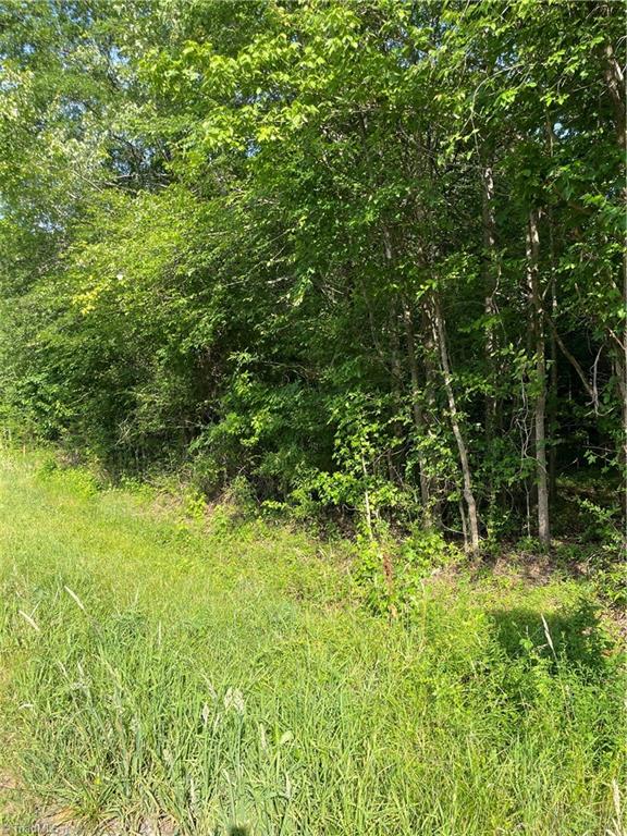 2 Garden Road Eden, NC 27288 - Photo 2 of 2 Gallery Image 2