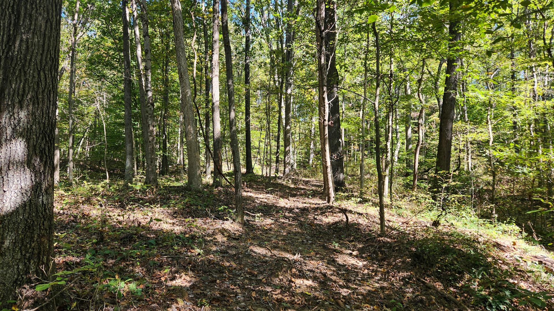 929 Poplar Ridge Road, Unit PONDS POPLAR RIDGE TRACT 14) Gallipolis, OH 45631 - Photo 25 of 30 CT-25