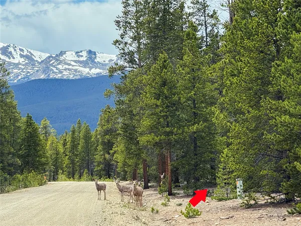 $285,000 | 201 Snowshoe Rabbit Drive, Leadville, CO 80461