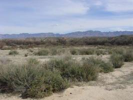 15550 Redington Road Benson, AZ 85602 - Photo 3 of 5