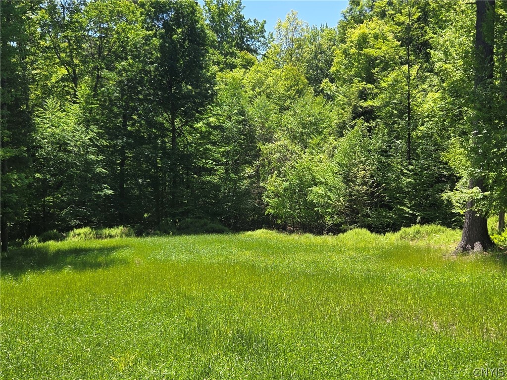 Lillibridge Road Olean, NY 14760 - Photo 31 of 48