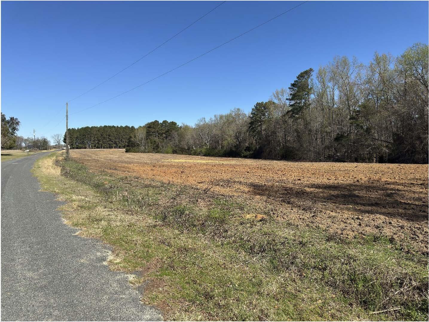 Tbd Tbd Buttercup Drive Avenue Ward, SC 29166 - Photo 1 of 2