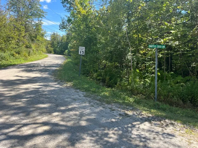 a view of a yard with plants and trees