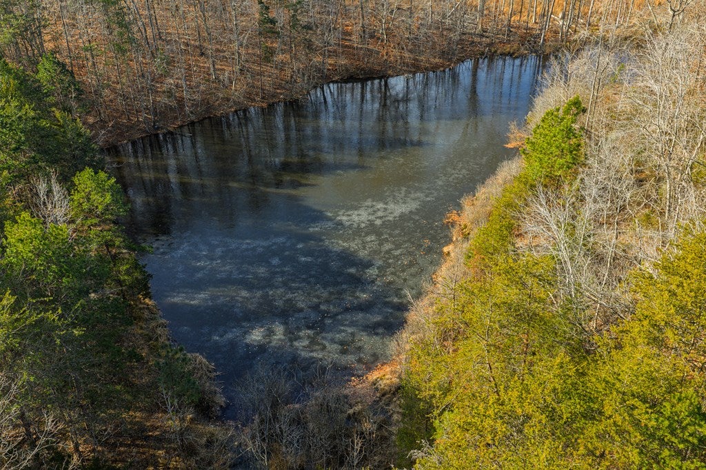 1105 Brooklyn Road Sutherlin, VA 24594 - Photo 28 of 77 Gallery Image 28