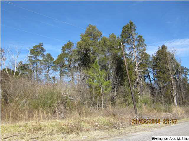 75 Highway 75, Unit 42 Remlap, AL 35133 - Photo 4 of 10