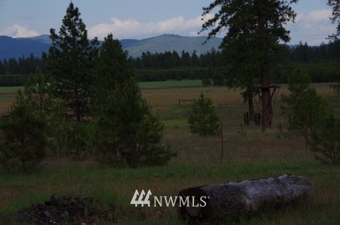 25622 North Perry Road Chattaroy, WA 99003 - Photo 11 of 20
