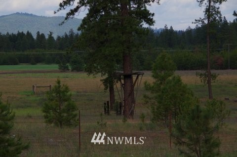 25622 North Perry Road Chattaroy, WA 99003 - Photo 12 of 20