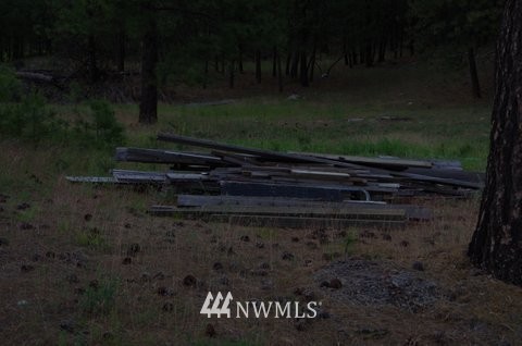 25622 North Perry Road Chattaroy, WA 99003 - Photo 9 of 20