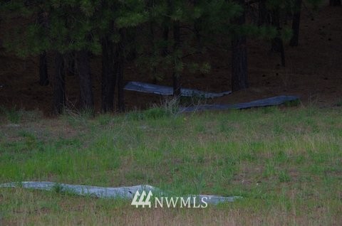 25622 North Perry Road Chattaroy, WA 99003 - Photo 10 of 20