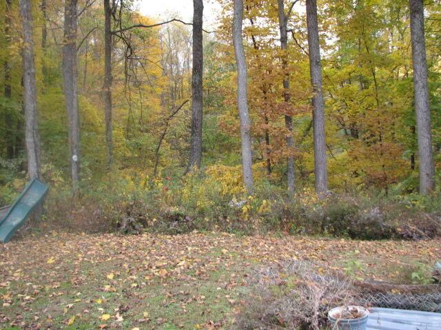 4165 Alten Road Sugar Grove, OH 43155 - Photo 15 of 78 IMG_4755
