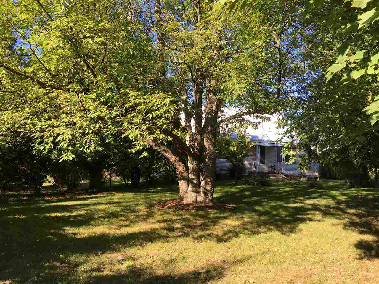 18134 19 Mile Road Tustin, MI 49688 - Photo 46 of 56 1822719-45.JPG