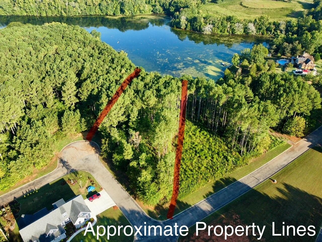 a view of a garden with a lake