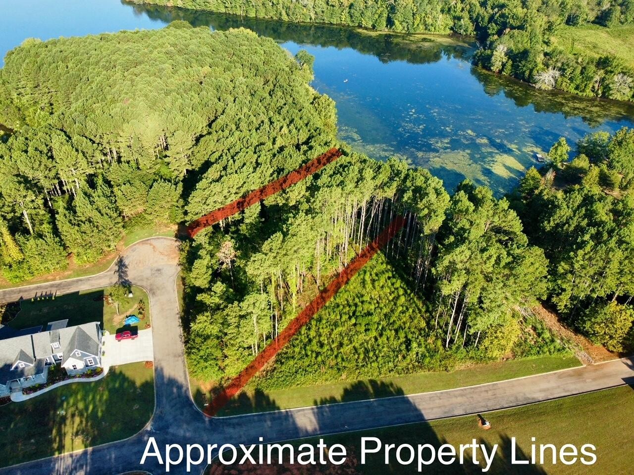 0 Castaway Lane Jasper, TN 37347 - Photo 11 of 17 a view of a garden