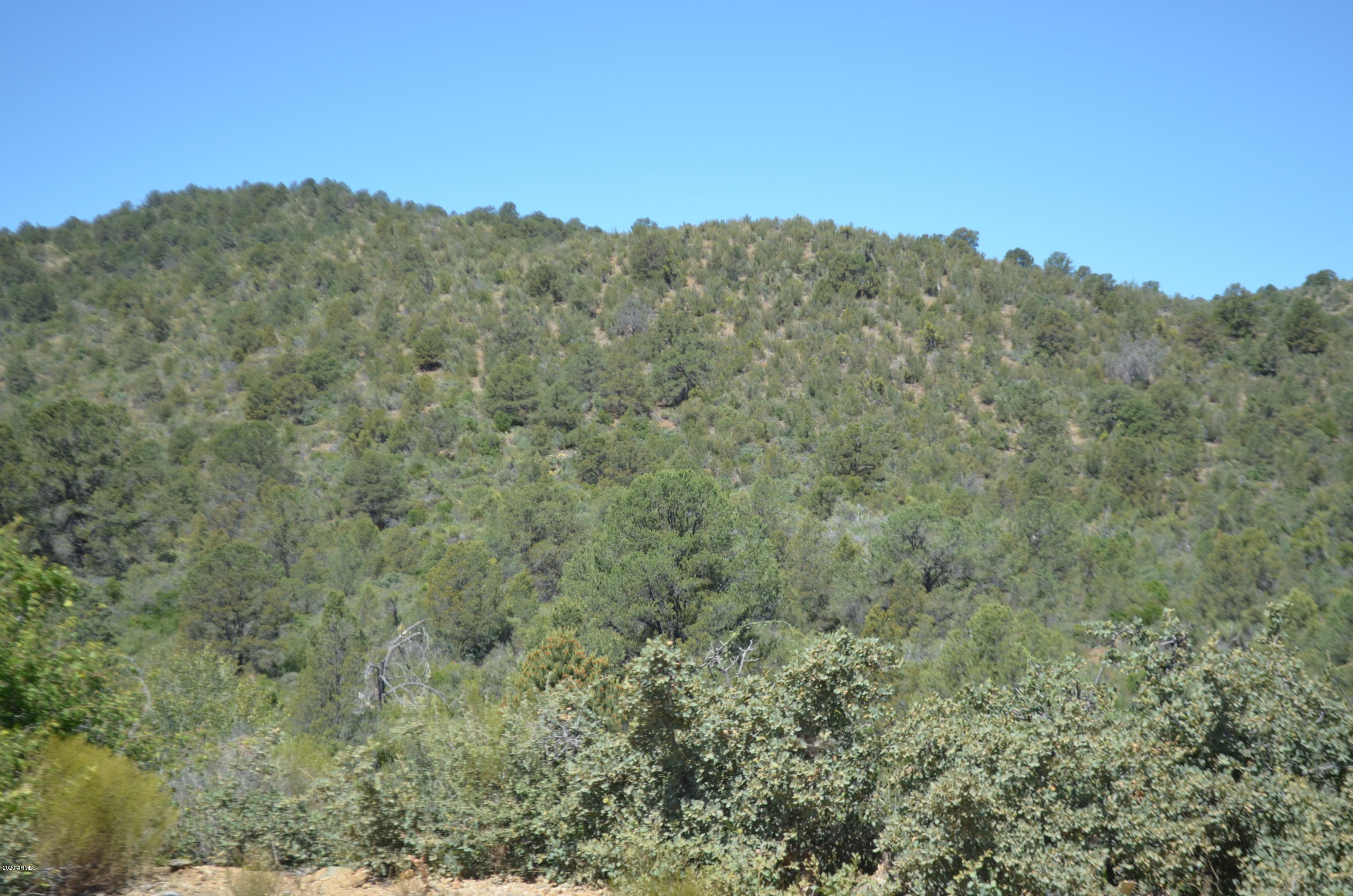 0 South Ruger Ranch Road, Unit 156 Kirkland, AZ 86332 - Photo 31 of 33 DSC_2105