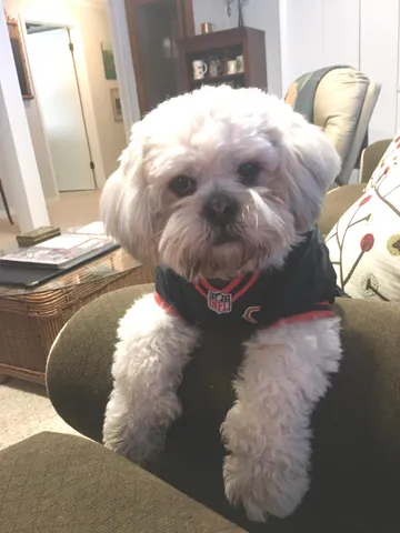 $667,000 | 1816 Eastwood Avenue, Janesville, WI 53545