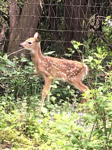 $667,000 | 1816 Eastwood Avenue, Janesville, WI 53545