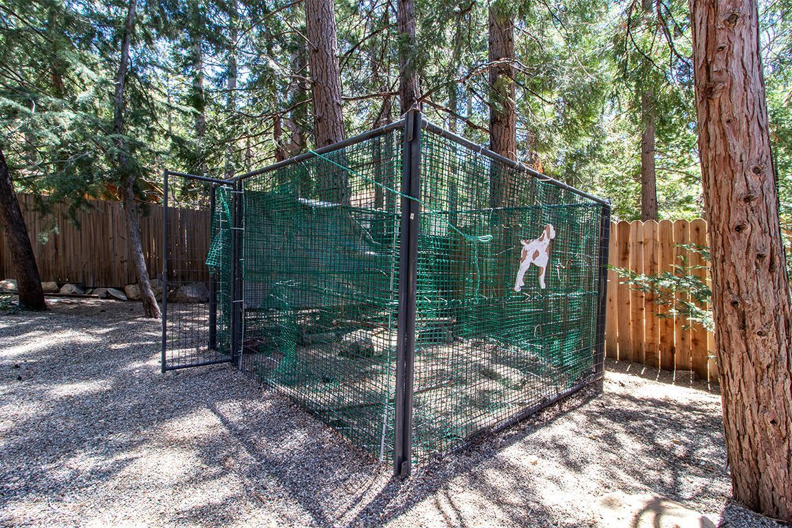 25104 Fern Valley Road Idyllwild, CA 92549 - Photo 46 of 55 a backyard of a house with lots of green space