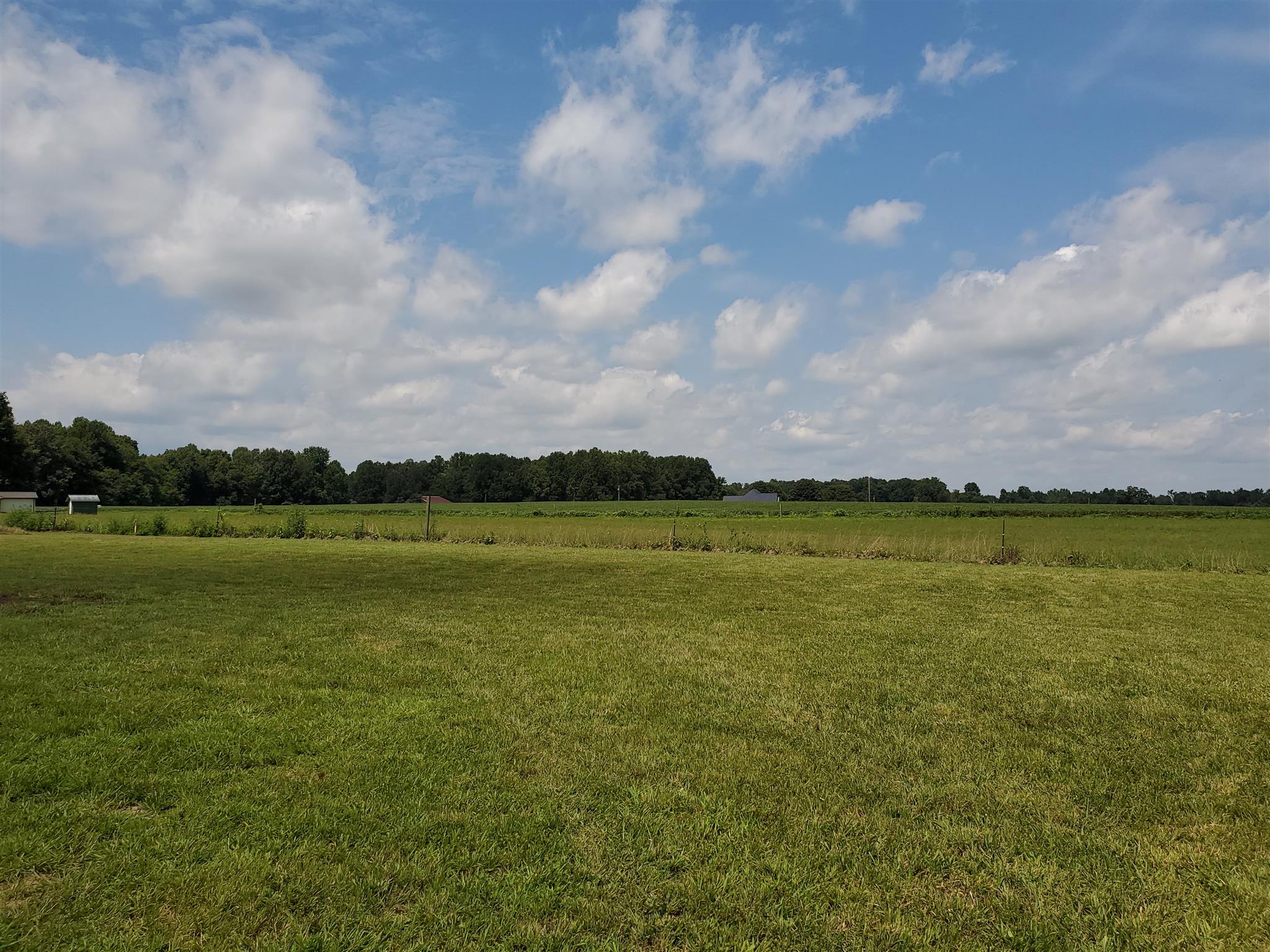 150 Morton Road Manchester, TN 37355 - Photo 17 of 17 The view from your patio & backyard. A little taste of country at a Perfect Price!