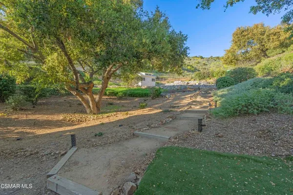 a view of a yard with a tree