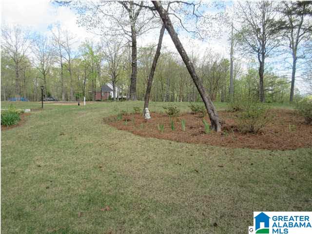 310 Chestnut Lane Alabaster, AL 35007 - Photo 3 of 31