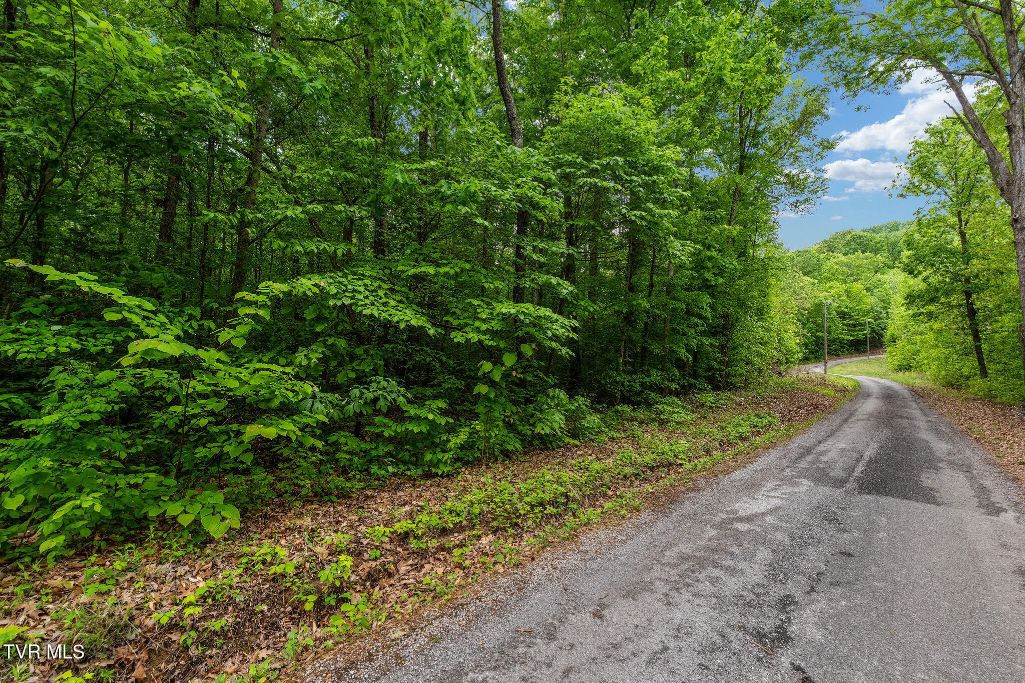 Tbd Wattenbarger Gap Road Greeneville, TN 37745 - Photo 2 of 41 DSC08352