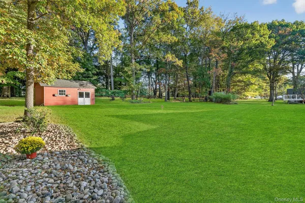 a view of a backyard with large trees