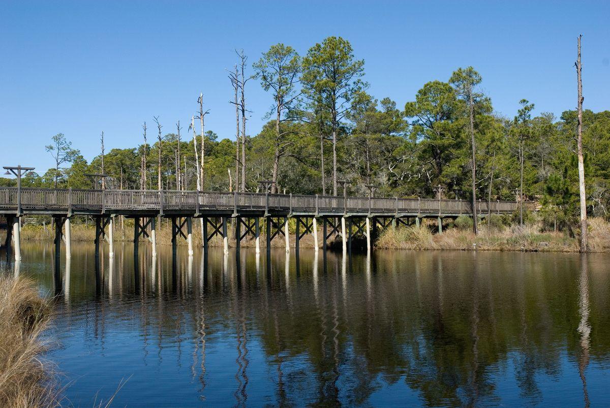 Lot 6 Cedar Fork Road Santa Rosa Beach, FL 32459 - Photo 12 of 18 a terrace with trees in front of it
