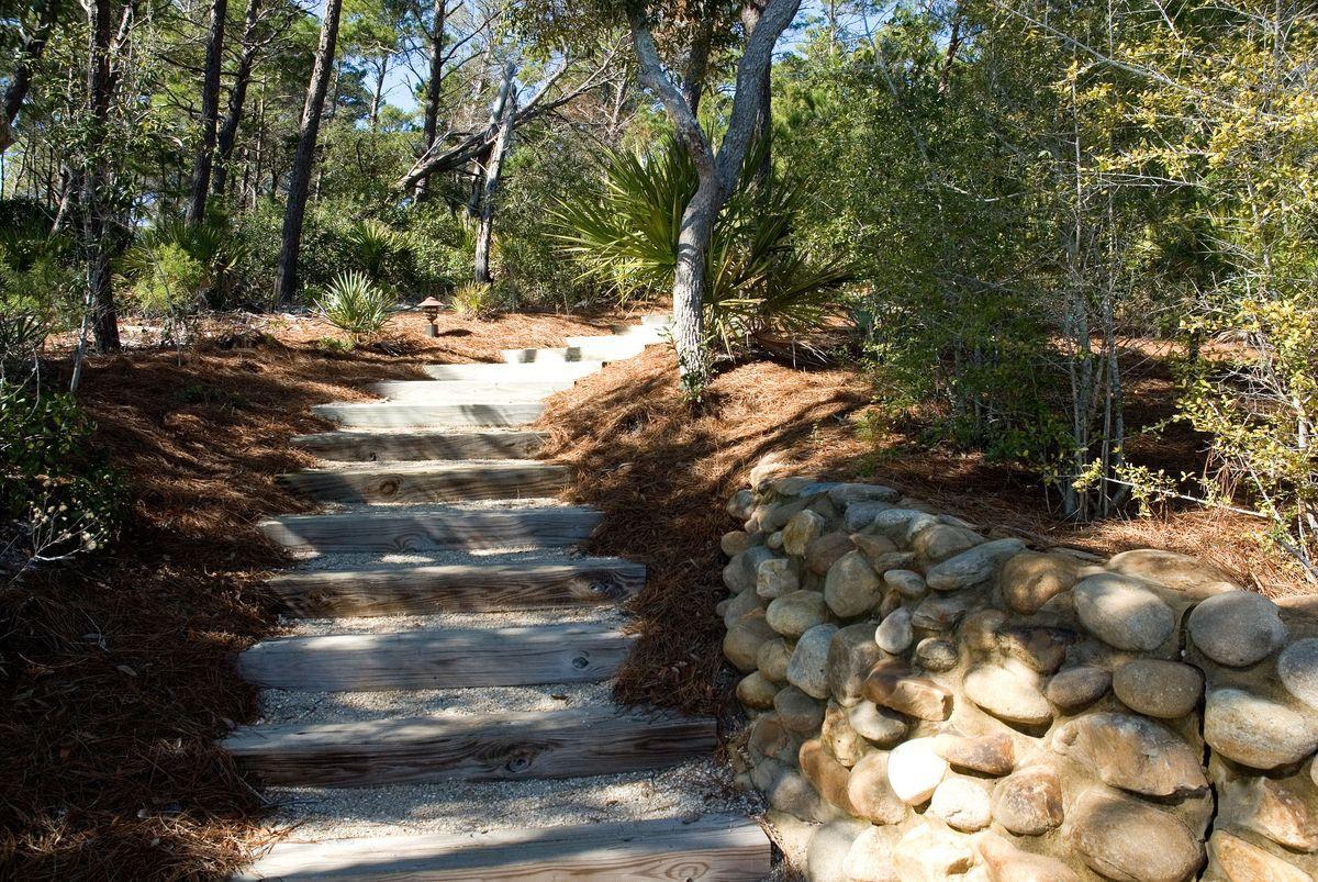 Lot 6 Cedar Fork Road Santa Rosa Beach, FL 32459 - Photo 10 of 18 a view of a yard with trees