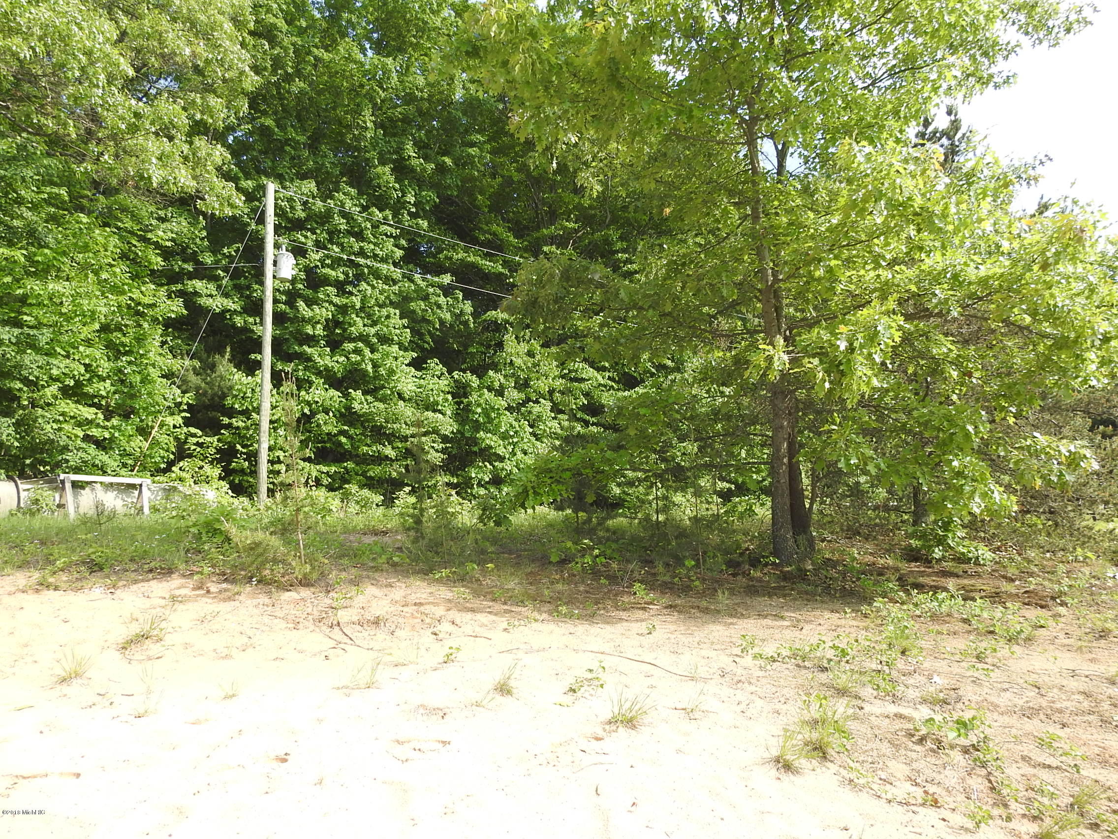 2.96-acres West Lever Road Hart, MI 49420 - Photo 15 of 17 DSCN1811