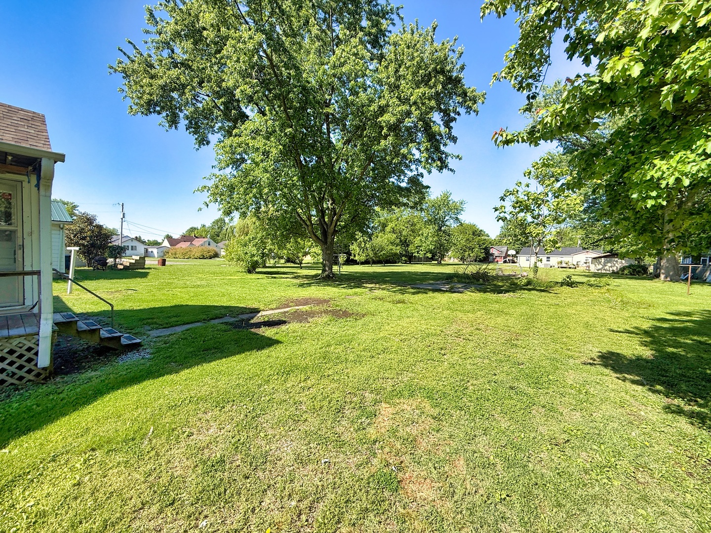 426 South Locust Street Flora, IL 62839 - Photo 52 of 58 a view of a park with large trees