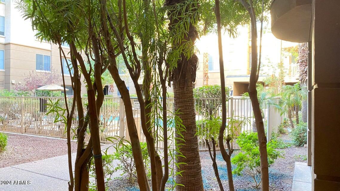 1701 East Colter Street, Unit 165 Phoenix, AZ 85016 - Photo 15 of 33 a view of lake from balcony