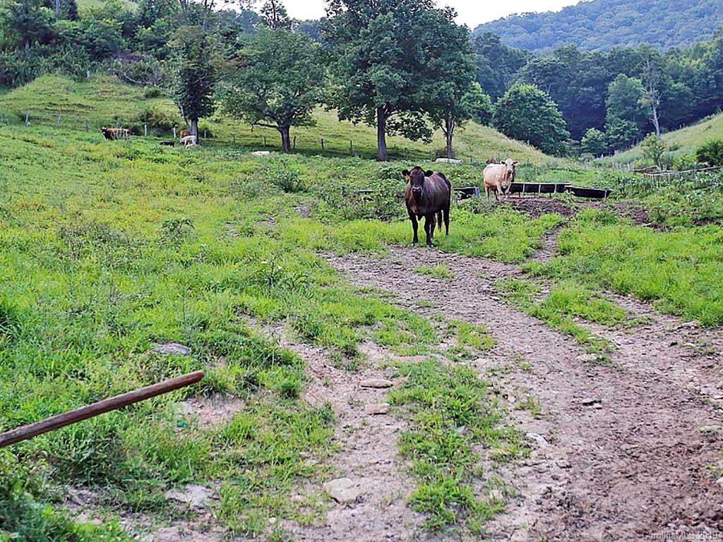 0 Hidden Valley Road Clyde, NC 28721 - Photo 2 of 7