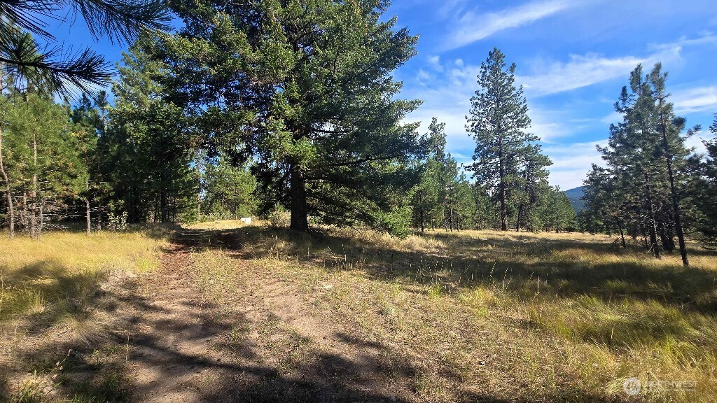 188 Rebel Road Oroville, WA 98844 - Photo 22 of 37 Gallery Image 22