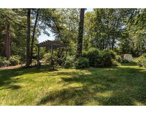 7 Galloway Road Chelmsford, MA 01824 - Photo 33 of 37 a view of a trees in a yard
