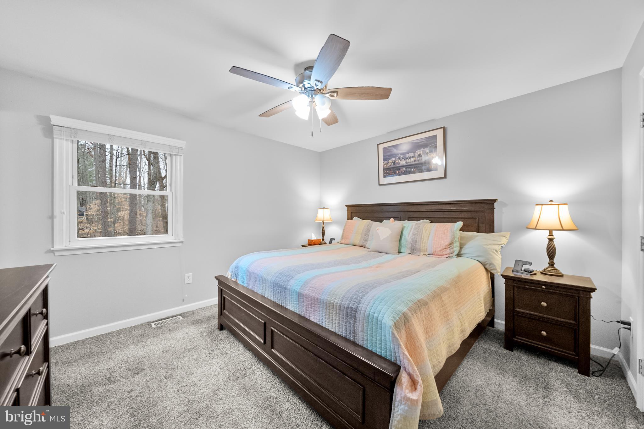 5344 Courtneys Corner Road Sumerduck, VA 22742 - Photo 16 of 56 a bedroom with a bed and a chandelier