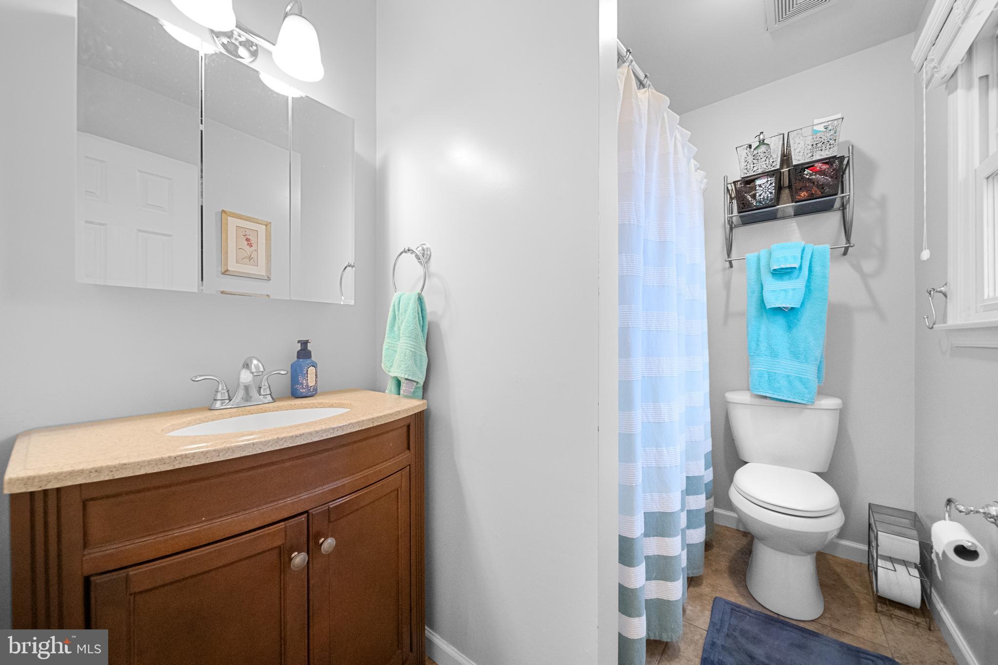 5344 Courtneys Corner Road Sumerduck, VA 22742 - Photo 18 of 56 a bathroom with a sink a toilet and a mirror