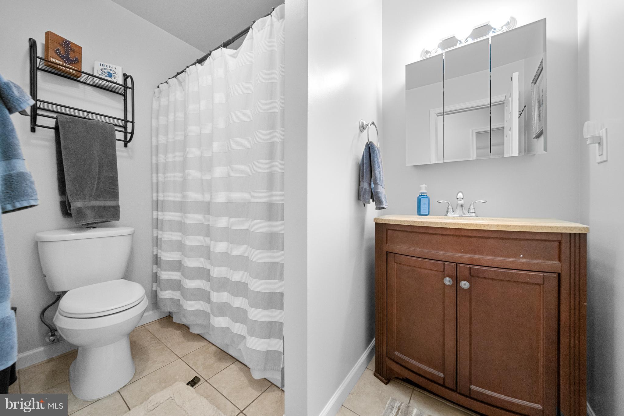 5344 Courtneys Corner Road Sumerduck, VA 22742 - Photo 23 of 56 a bathroom with a sink a toilet and shower