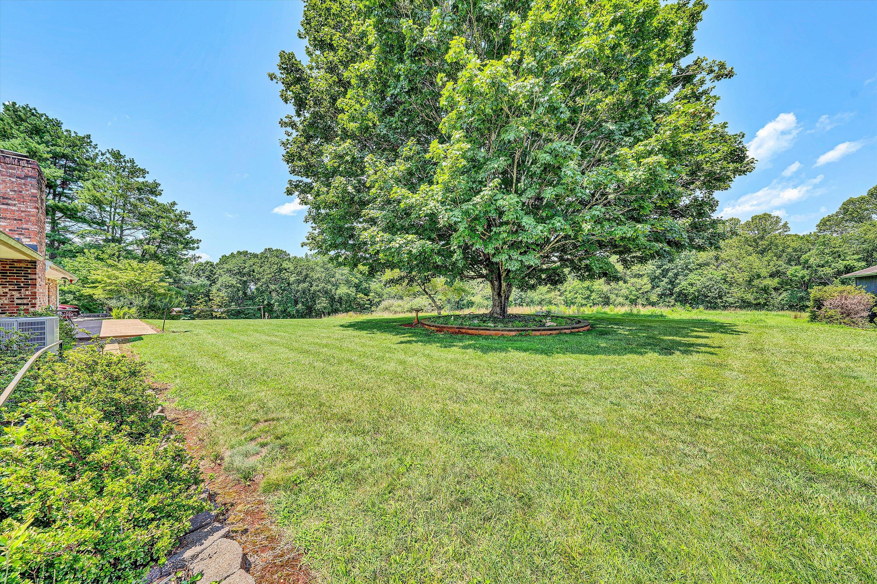 9732 Goodview Road Goodview, VA 24095 - Photo 35 of 56 35-DSC09765