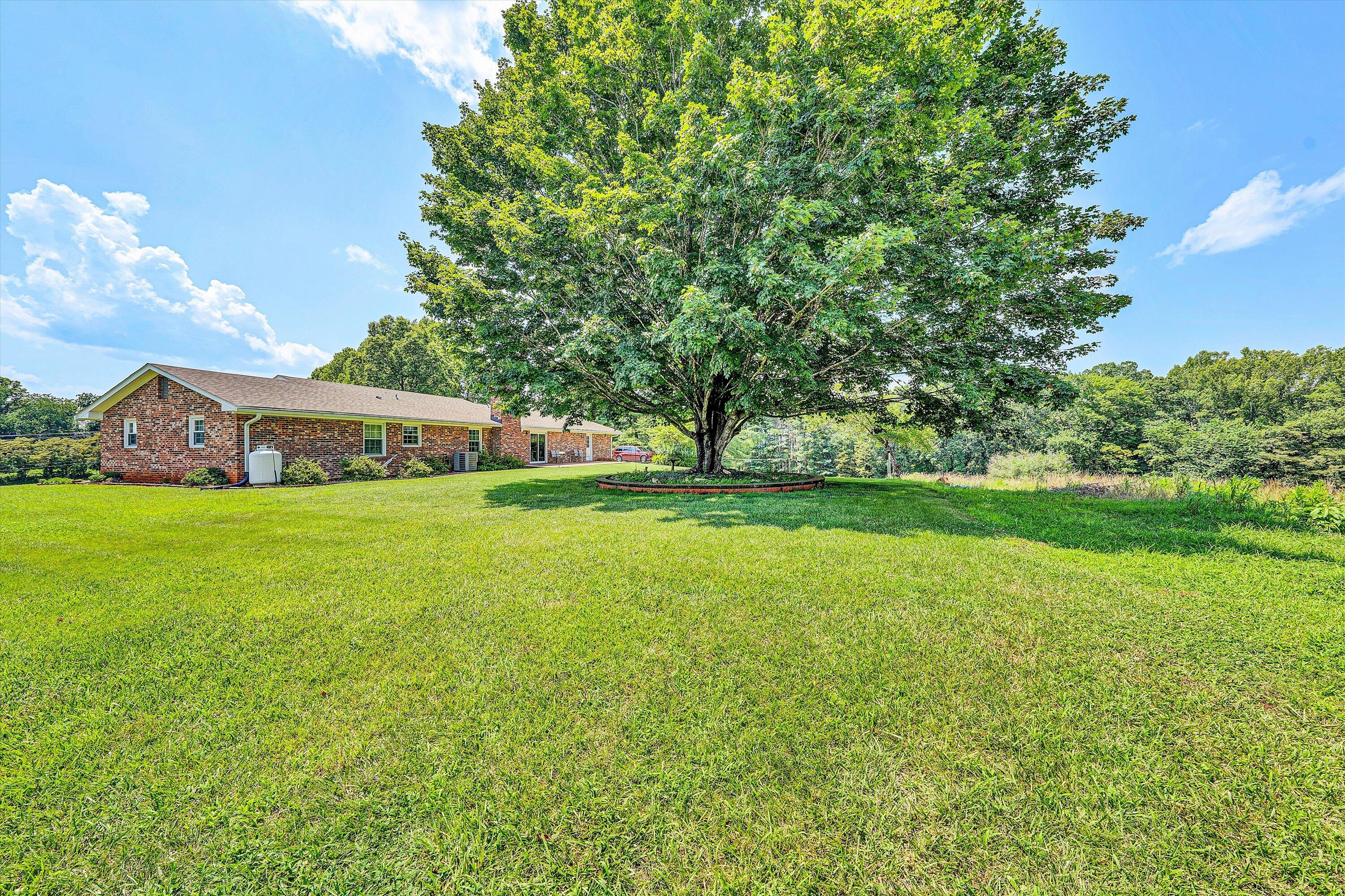 9732 Goodview Road Goodview, VA 24095 - Photo 43 of 56 43-DSC09783