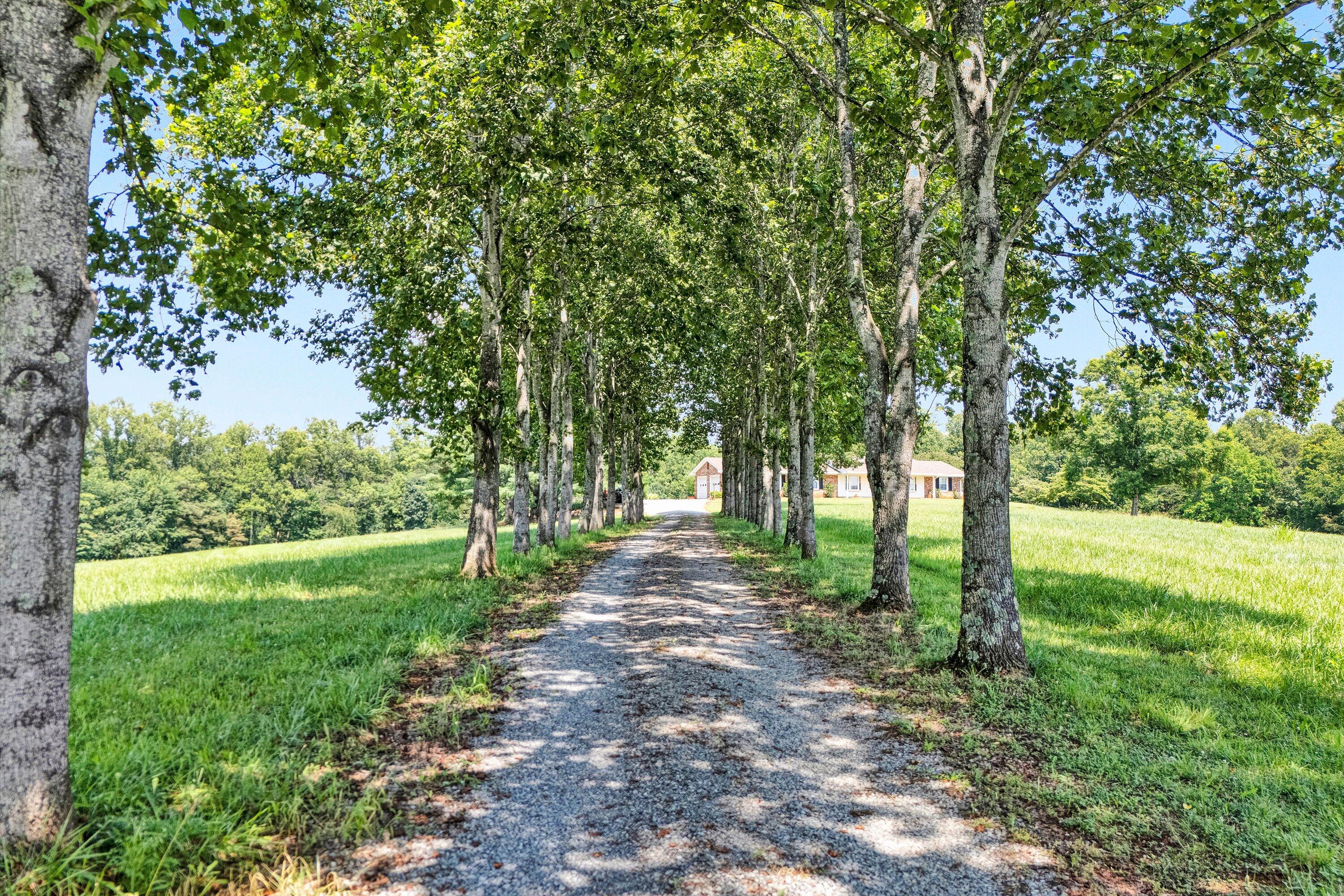 9732 Goodview Road Goodview, VA 24095 - Photo 53 of 56 53-Tree lined drive