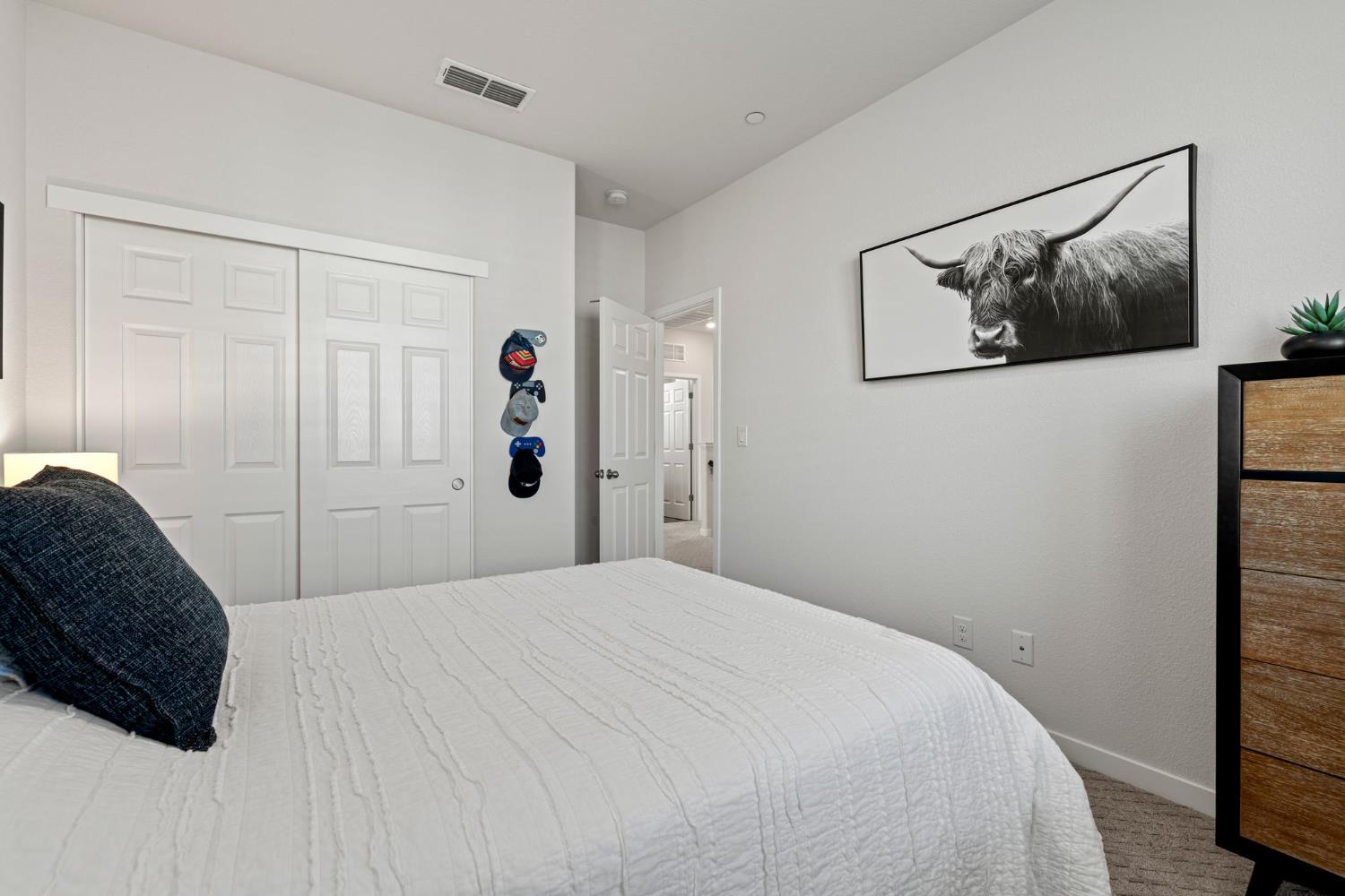 3017 Checkerspot Street Roseville, CA 95747 - Photo 42 of 57 a bedroom with a bed and a painting on the wall